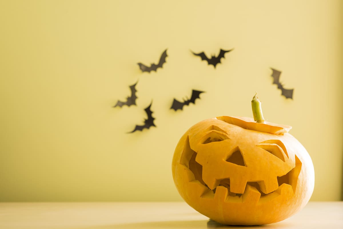 Artigos para Halloween no Atacado Como lidar com a sazonalidade