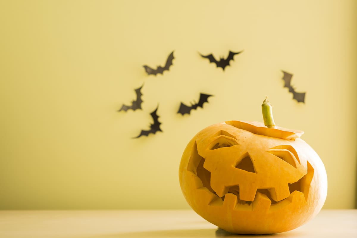 Tipos de Artigos para o Halloween disponíveis para comprar no atacado